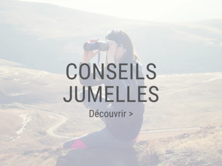 Liste des articles conseils jumelles